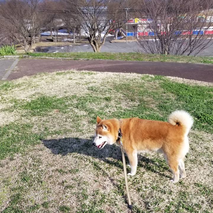 01022ca9 3f78 4b0f a2f0 ae586b4f1674 1649754245820