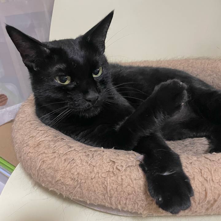 01022ce3 7499 447b 92a2 d73f48c1981a 1729415819351