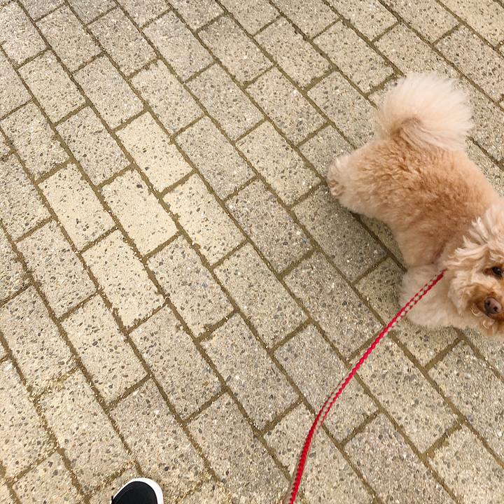 010237d2 09ab 4ee8 a5cc 3eacb3258897 1525916791102