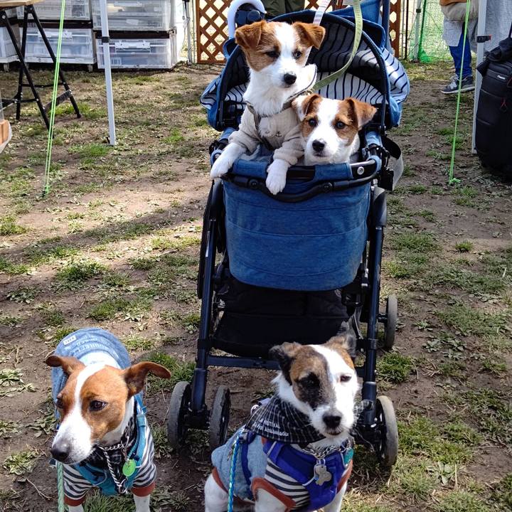 0102573a e24a 43ff a516 9ae5151fdbb0 1647687491158