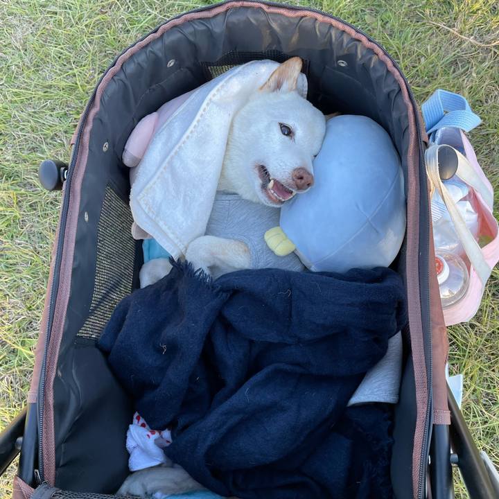 010257b6 f897 4330 b530 c99e1cd3f4f5 1670322282757