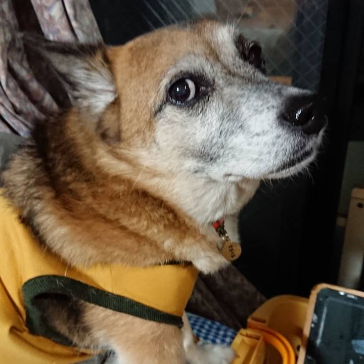 01025c18 6cc9 4cec 813d 549396e9dd41 1561022083251