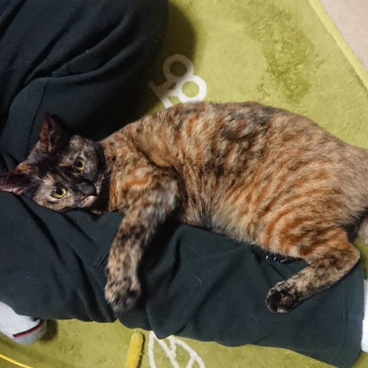 0102a87d 3238 43a9 9dbe 6c906083a001 1512532969901