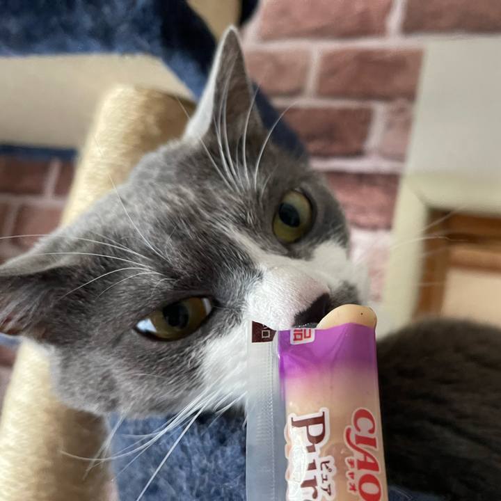 0102aa2d ddfb 475f 9157 17b81582673d 1657088882724