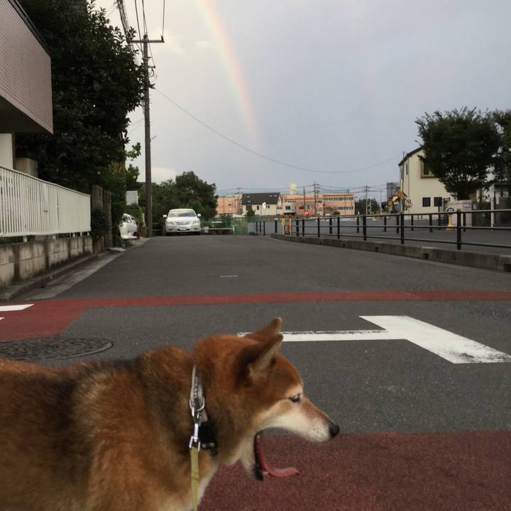 0102c2a9 fdae 4790 b902 221b5ec1cebb 1599468642230