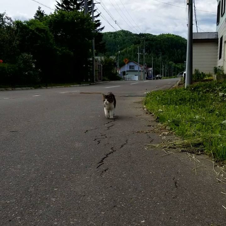 0102d56e 2408 47be bcb0 67ef8947fd0e 1591920584408