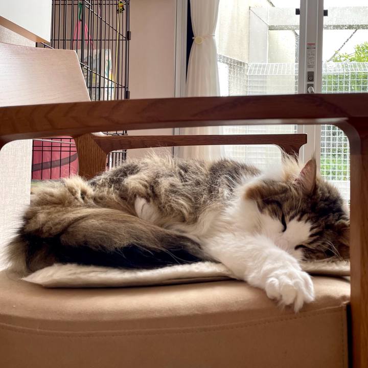 0102dbce 9ca6 4f93 a124 3ffc953e430c 1652496766069