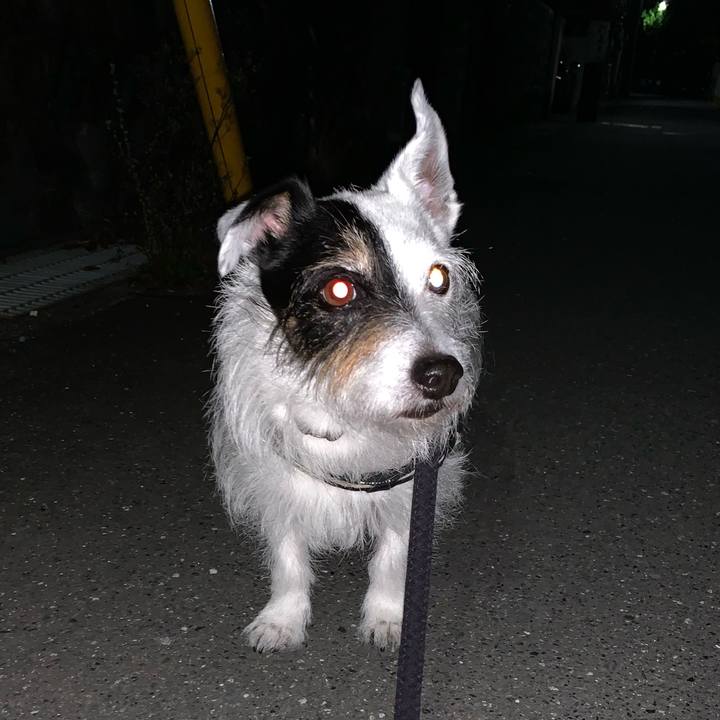 0102ddab c162 41ac a77a 540d817d88d1 1750342384605