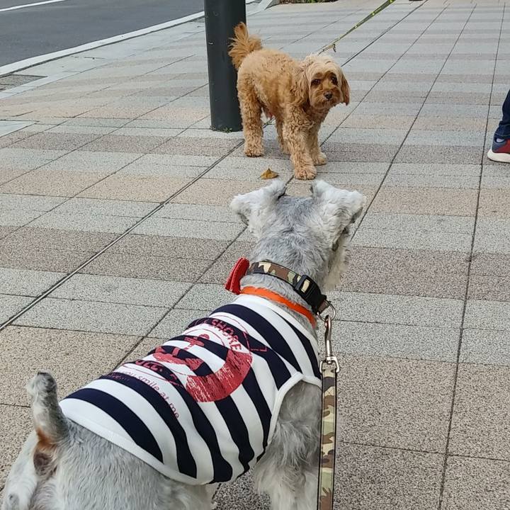 01033e14 47ed 41dd ac14 45f34d44311a 1558307739866