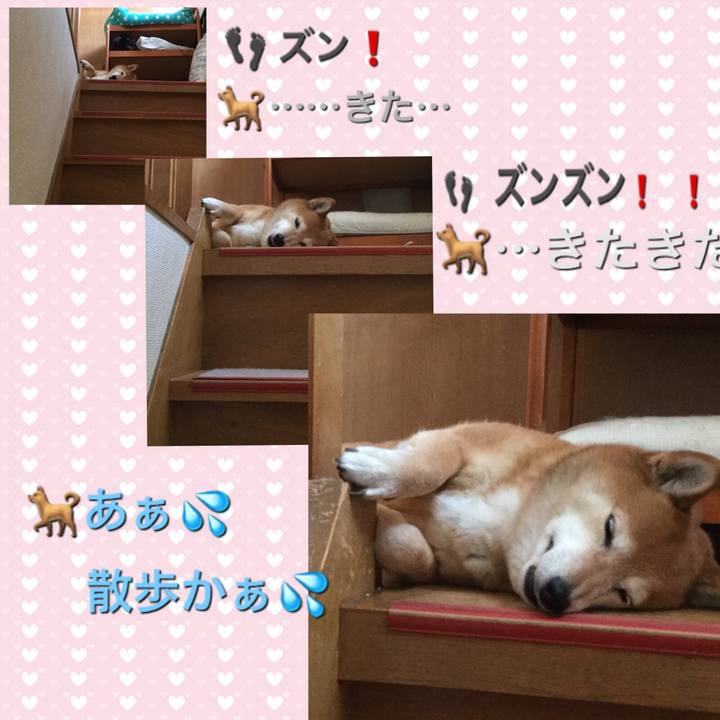 01034eb5 e555 447d aed2 872886856bd7 1615798183646