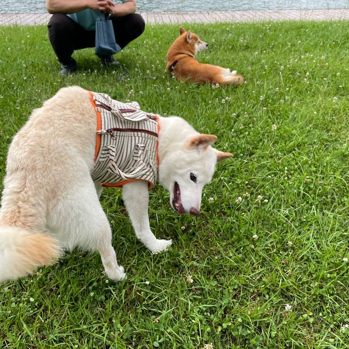 01035aab c565 401f 9599 4a2010e38fdd 1656329359263