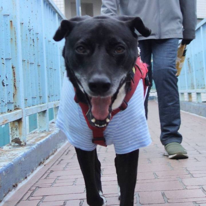 0103a910 cc3d 4a58 a40b 42ab9ca79ce6 1673742711354