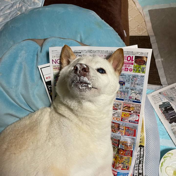 0103c3e1 a4b5 4477 a118 a5fd77b2d350 1654099982986