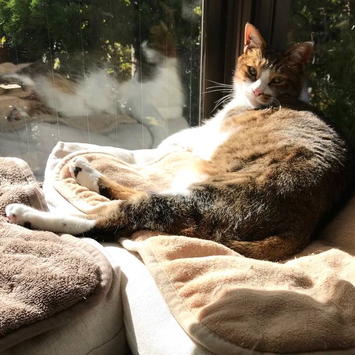 0103d2af 9e42 4c61 92e9 432588dae675 1515649860318