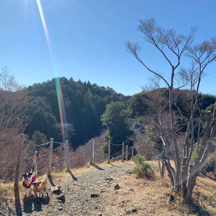 0103f645 7b7e 43b3 b029 c3bc0d02991a 1610178545985