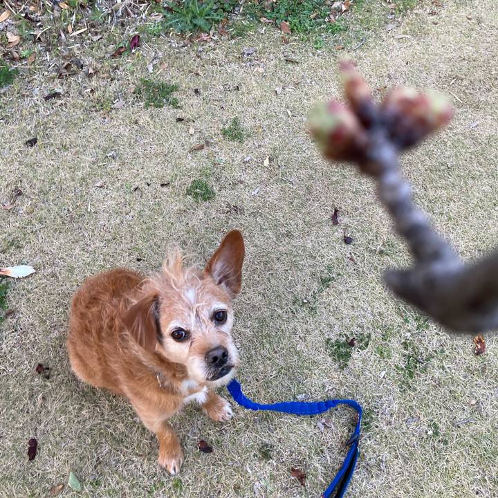 01040d12 f842 46bb a51e 0d9091549219 1711537737180