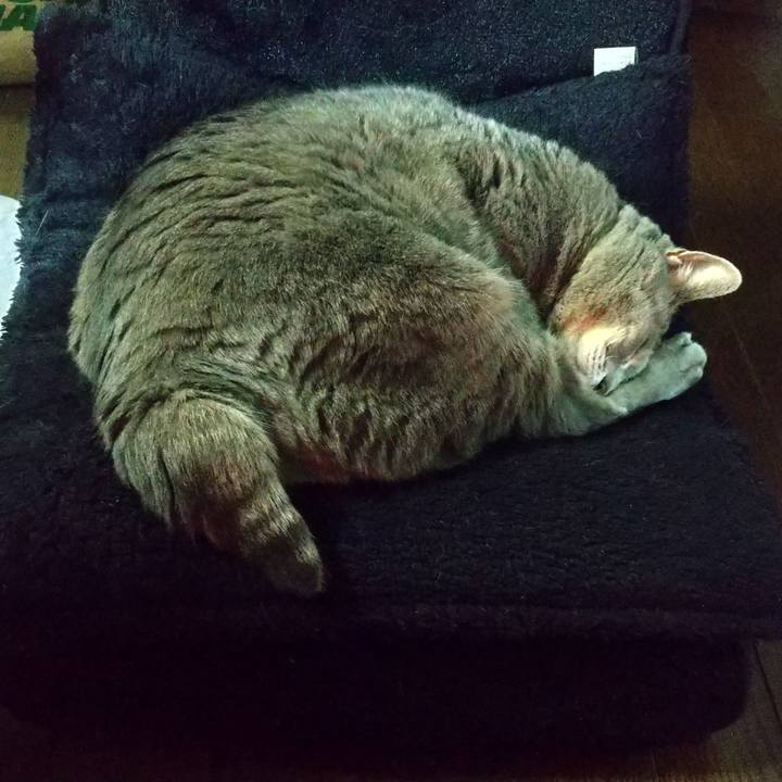 01042088 c720 4d4f a7f8 61a4034209ce 1637832395737