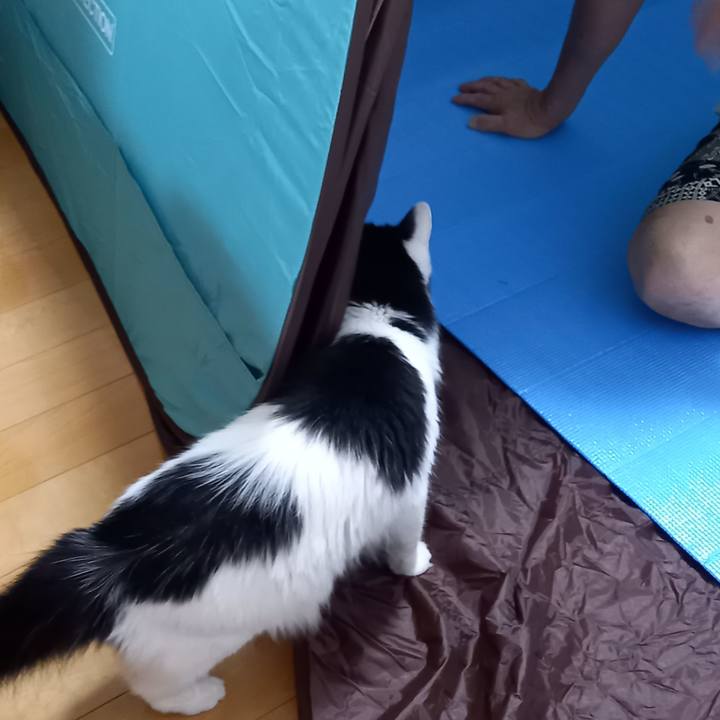 01047826 9090 46c0 88ed 13dbda9f3714 1660993000607