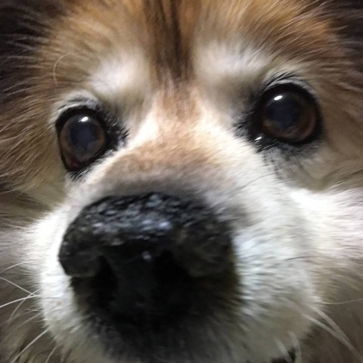 01048711 e031 45a9 940b 4e00ae6e1de0 1590428168882