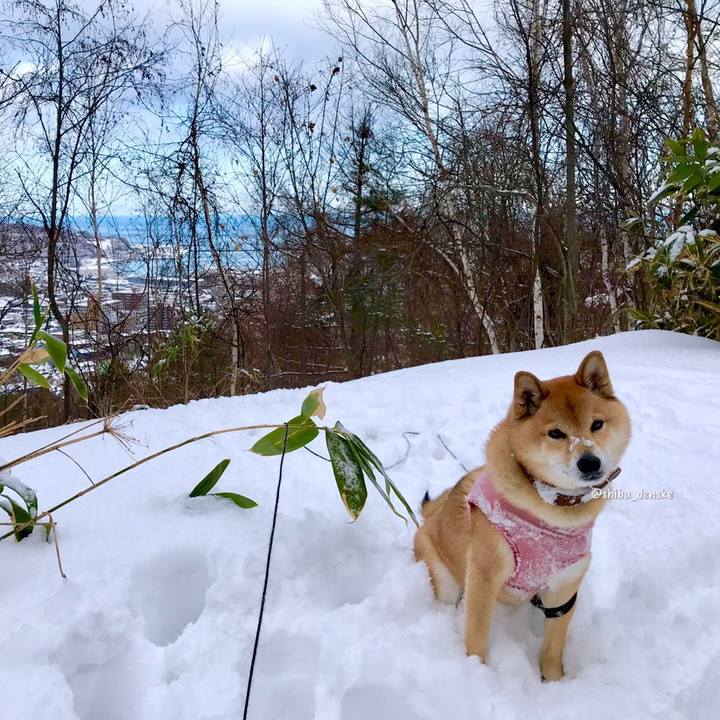 0104897c 04d2 48d8 a9b1 f2fa5c44a402 1547355099817