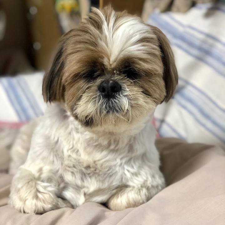 0104aa68 faa5 4ebf 8c59 f486ca1867fd 1556581553138