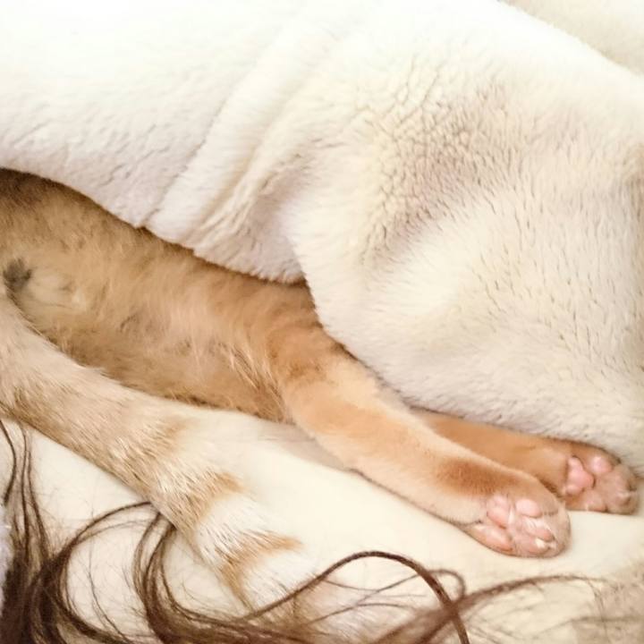 0104d8ba 9a63 4faa 9a03 b53b26985a51 1555082966868