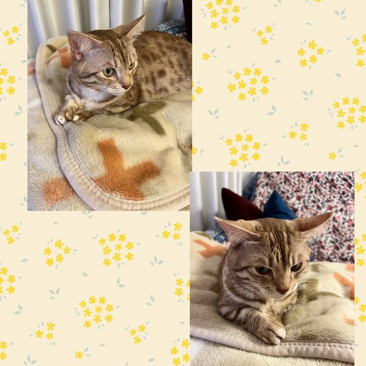 0104e645 057b 4f96 aaf4 3d811fa313dc 1677587778234