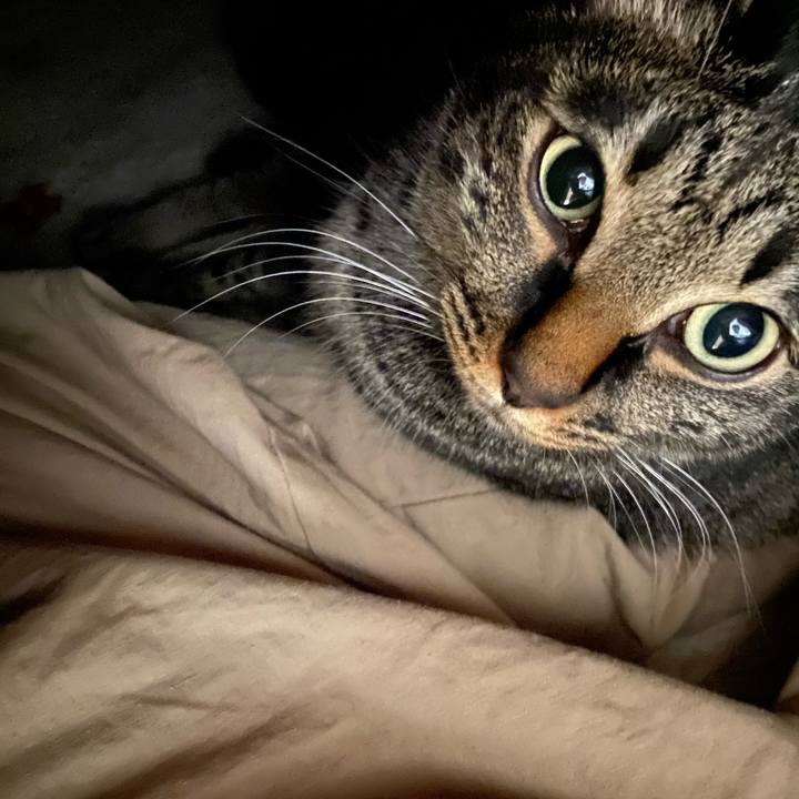 01050194 e4e4 4be7 b5b0 fa69425e3d1d 1710759493557