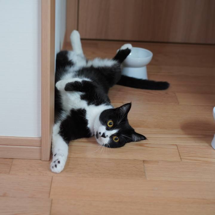 01054bff a7fd 403b 8a70 29223d661474 1626185214892