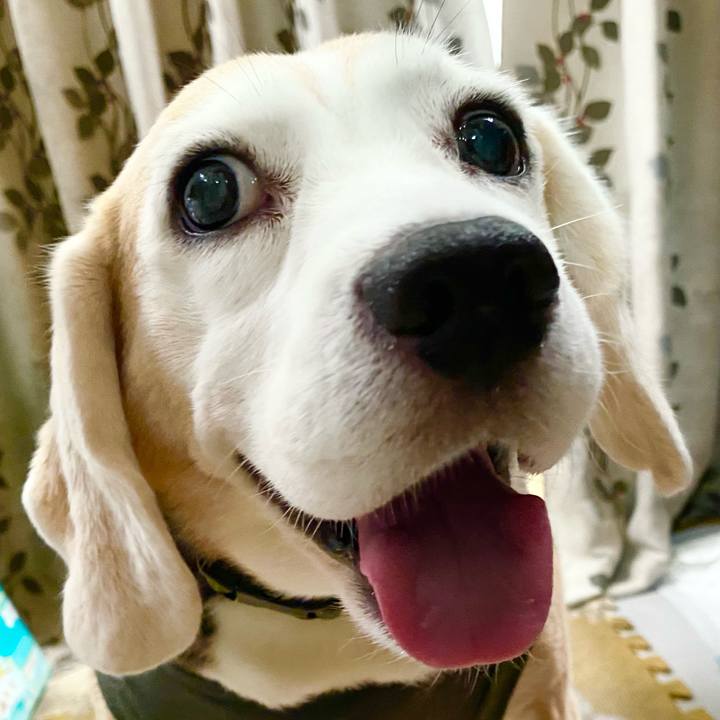 01056356 c783 4656 871e 0b211b9ceb6b 1634442967986