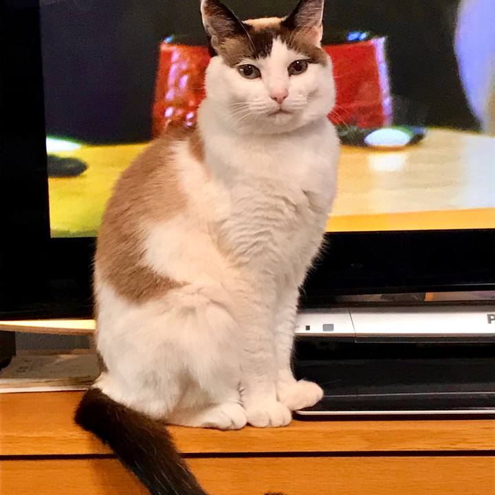 01056eb9 7d8c 4c5b 923c 7db14fbef27c 1546822466332