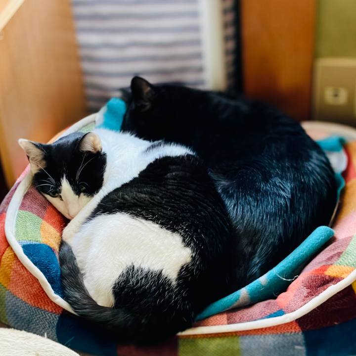 01057d87 5cd1 4ce5 8606 ccc41937c139 1609119594875