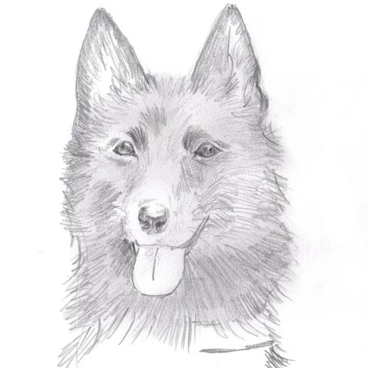 01059f5d 6354 443d bd92 2e5947fea7ce 1618476155140