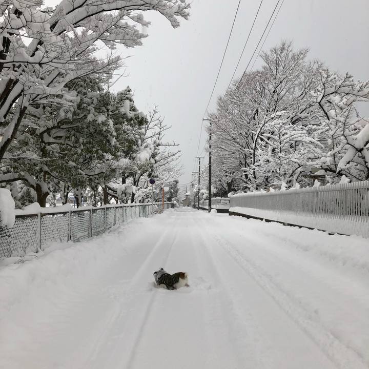 0105b926 aa5e 45cc 9d0f 9968d700fce2 1610151029729