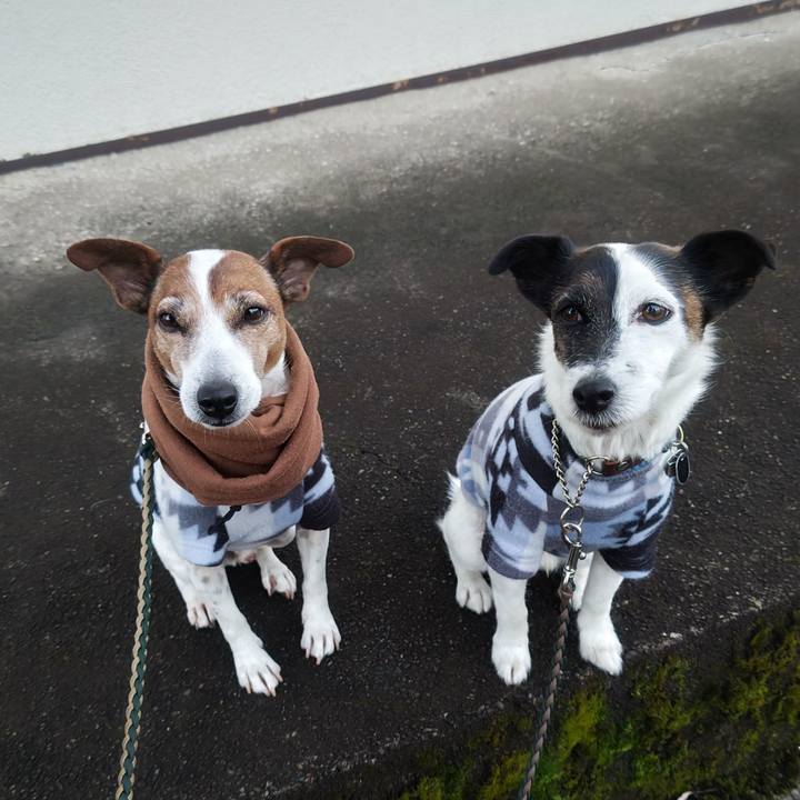 01065d18 17b7 4d4e ac07 55e12bae3b56 1766700189846