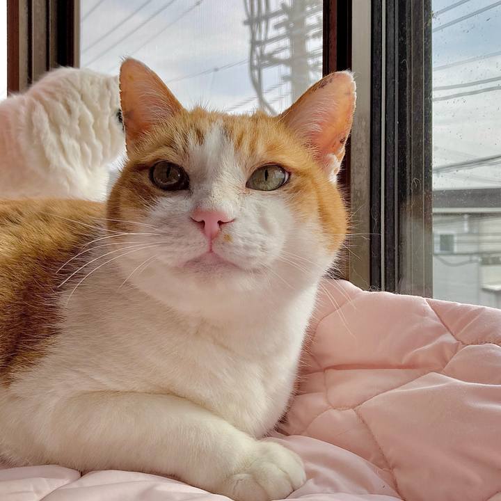 01066030 a0b3 42bb 91a9 0a4105b30e53 1667524459390