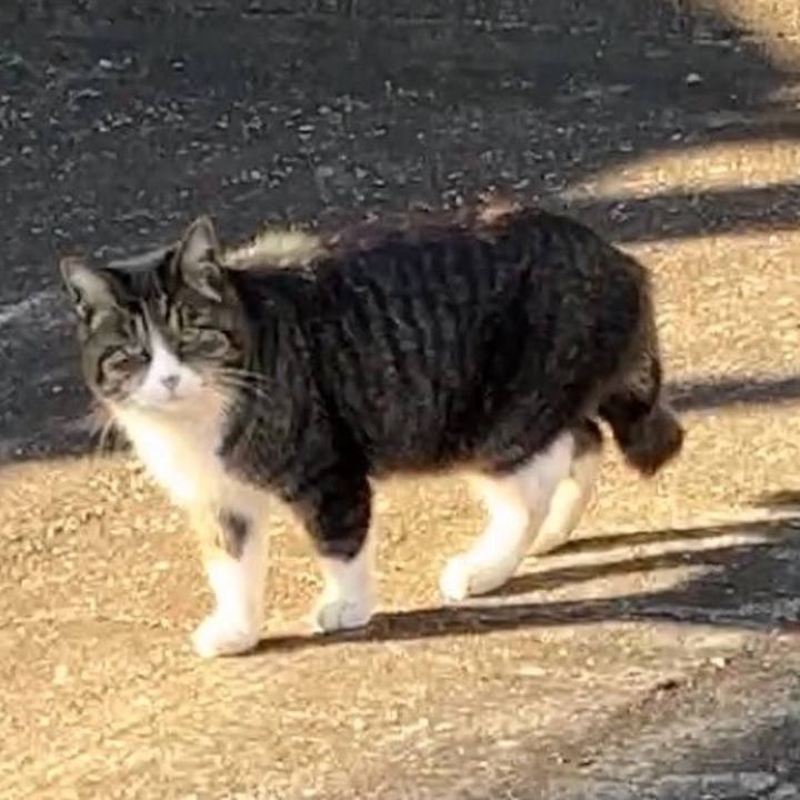0106d307 195f 4589 86ff 6e8ac705dcda 1707730740559