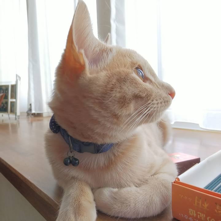 0106f9c1 d190 465a 8b52 6031ccce230b 1545622197740