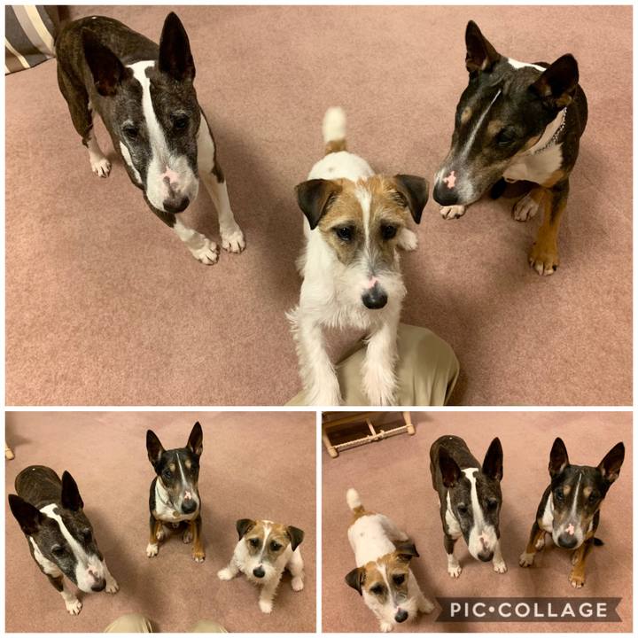 010700dc 2cda 41c8 809a 793151f49be2 1583839344405