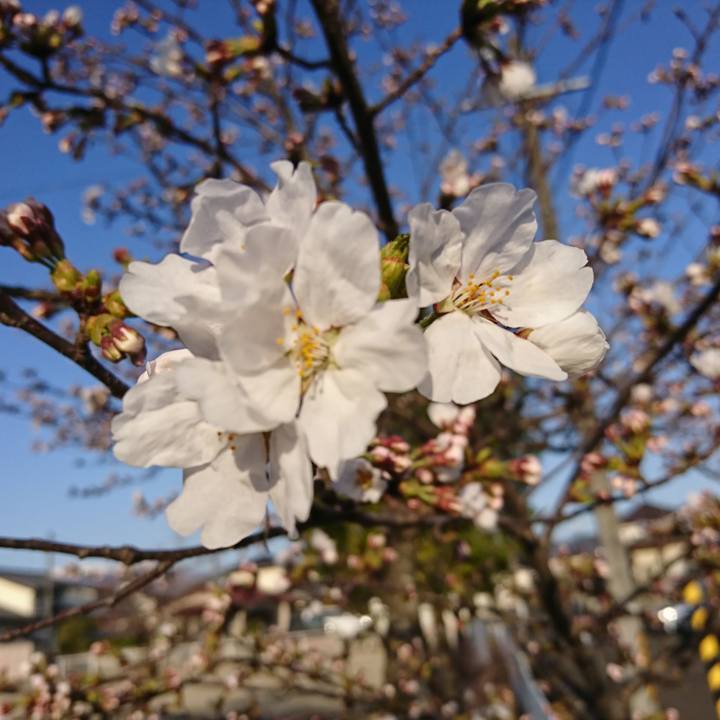 01072e8b 7dc5 43b9 a8f6 ac1ca709a1c1 1522450532783