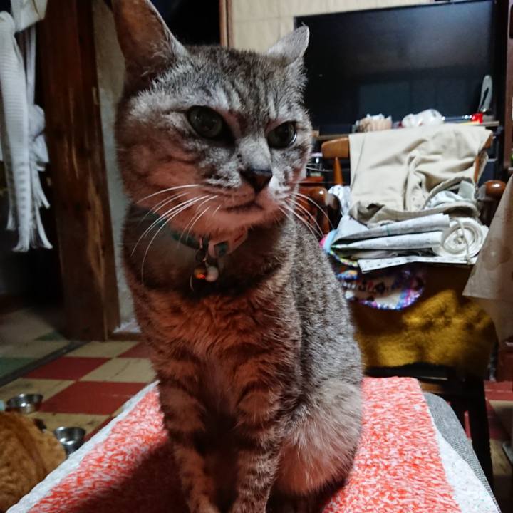 010771c7 8b78 408c a783 062b70d11d0e 1563824371795