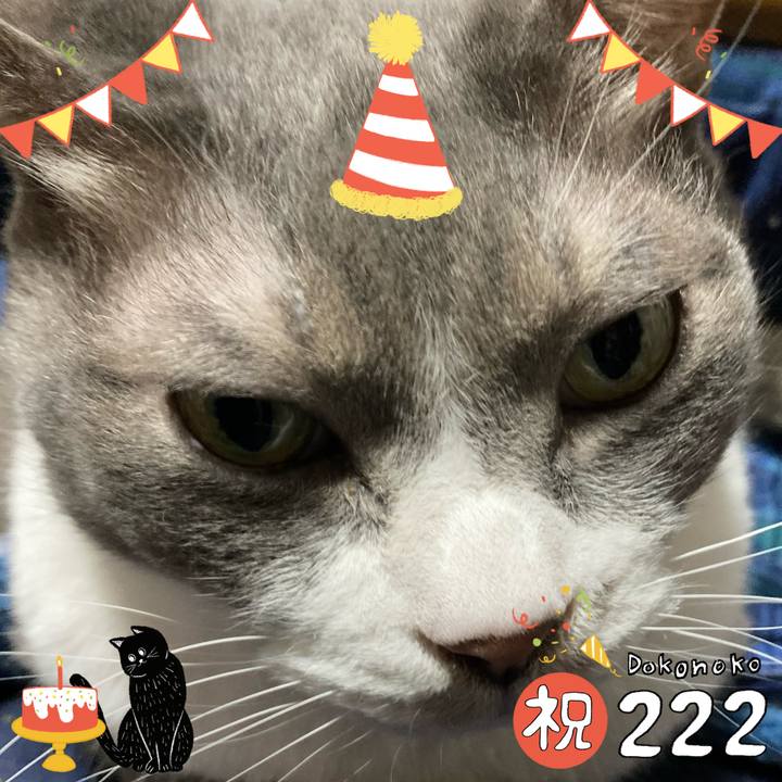 010792c9 0ca0 4ed3 8c44 95056eeb5bb5 1645497501647