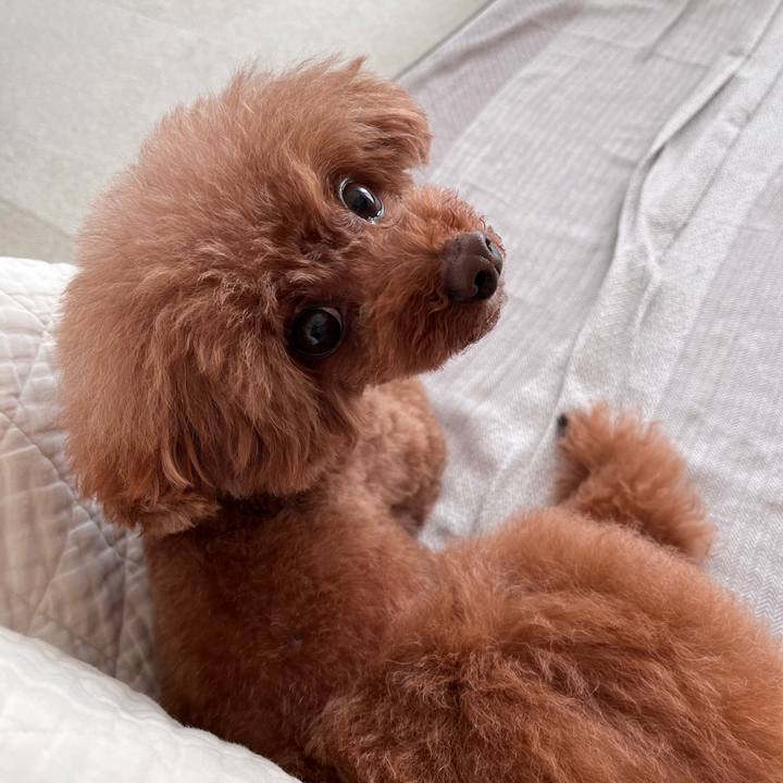 0107a0c1 6b35 459a b68f f51876d3a2ba 1704857381455