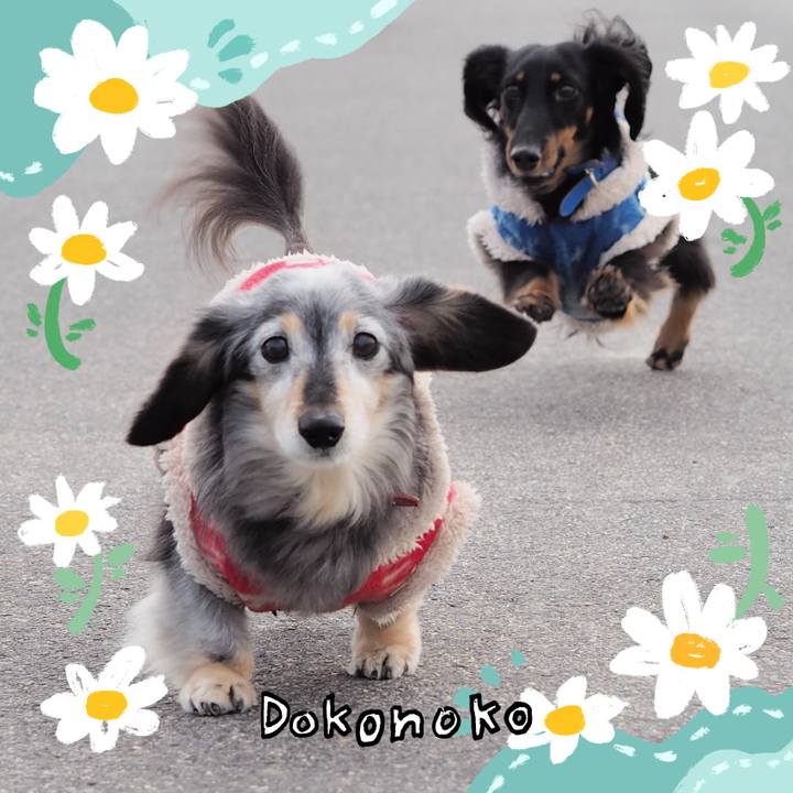 01081d23 bf47 401f a79f ae97fdb419e6 1712315978898