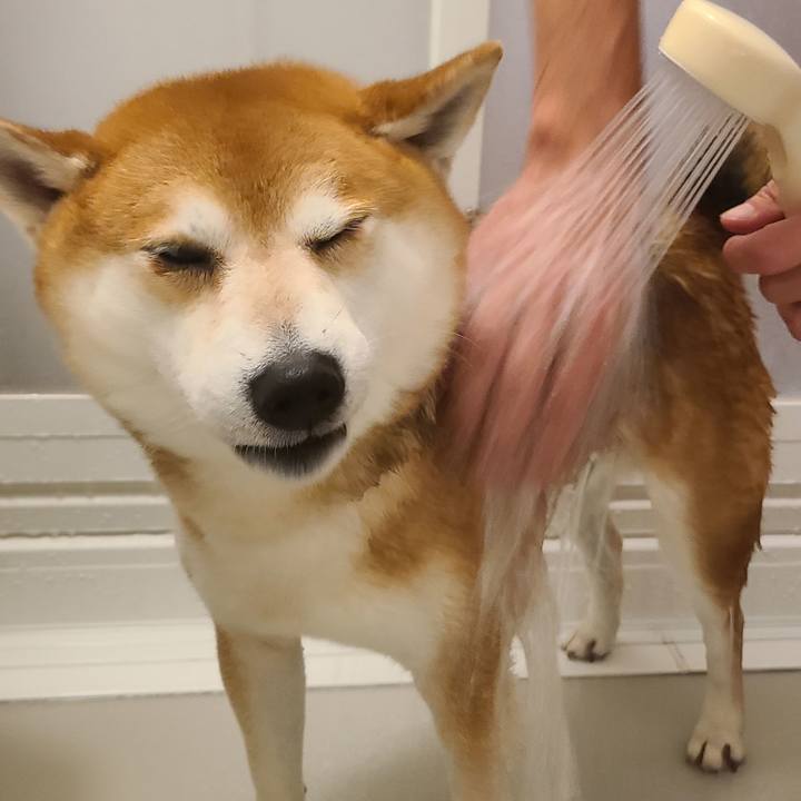 01083533 e62d 4bc1 b39f 0f64c810ea79 1751498659530