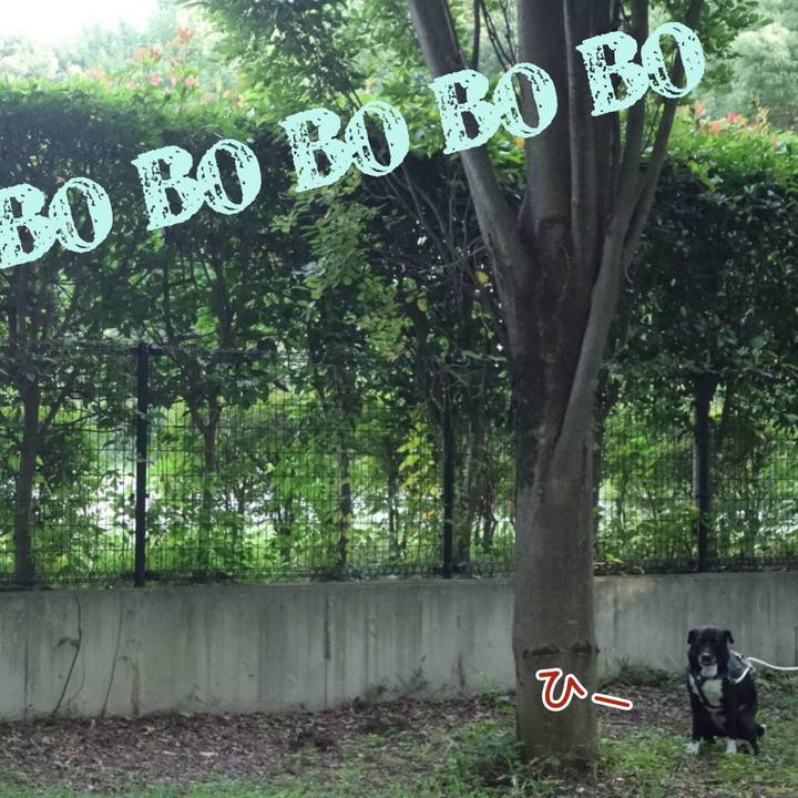 010847d9 1f3c 41ca a167 de138c3d9cb2 1663114709262