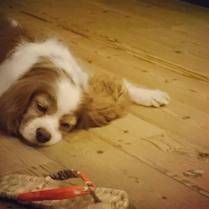 01085d72 e392 4034 9a3b 94bd4fe0f5a4 1532990922838