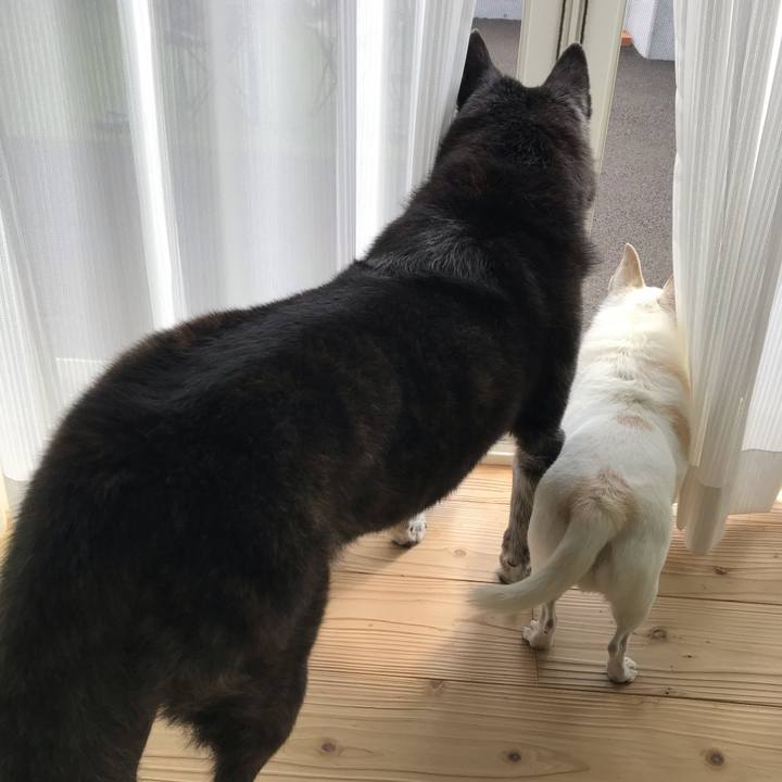 01087061 81d3 4c56 8b1a 56db5dbf2e43 1634105311438