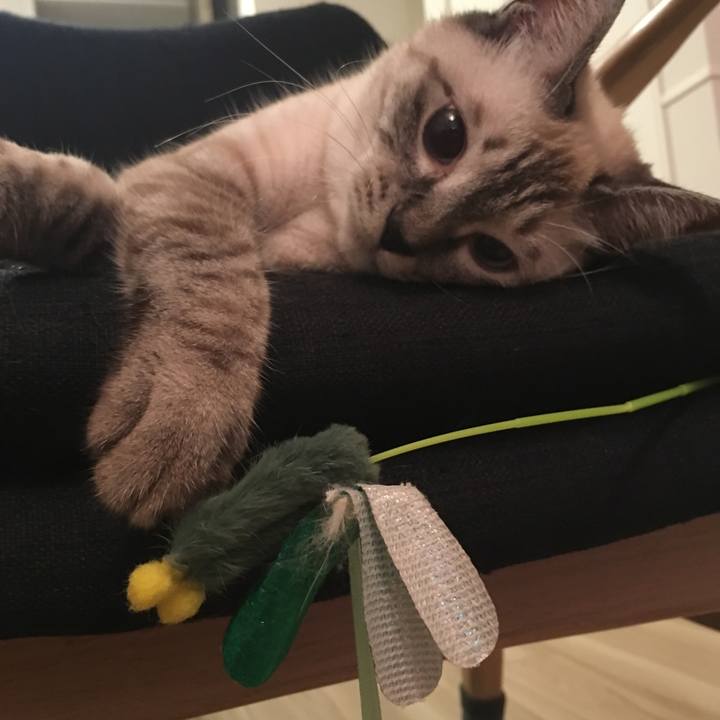 0108b760 cdff 46a1 aa10 2bd8c51d308a 1566996205945