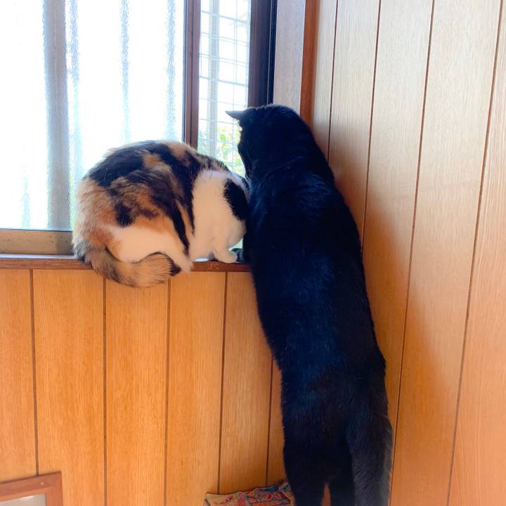 0108c21d 30eb 4594 902a 9bda82218181 1560045264946